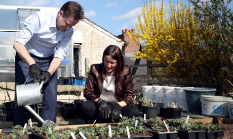 Liberal Democrats leader Nick Clegg  waters some plants.