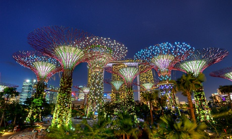 Supertree Grove