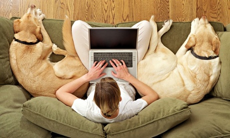 Woman lounging on sofa with laptop computer and dogs
