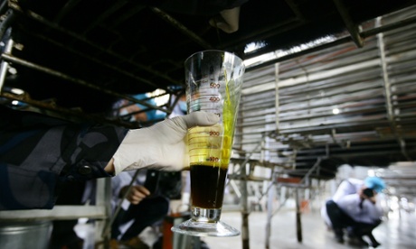 A worker extracts bile from a bear at a bear farm owned by Guizhentang Pharmaceutical in Huian, south Chinas Fujian province, 22 February 2012.
