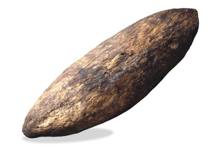 Shield collected at Botany Bay during Captain Cook's visit, 1770.