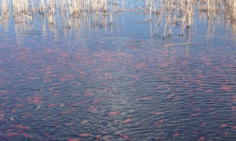 Teller Lake in Colorado