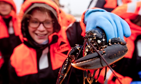 Seafood safari, West Sweden