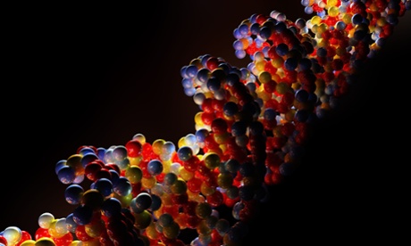An illustration of a DNA strand. We know that some genes are bad in nearly every conceivable environment; do we lose anything by editing them out of the human lineage?