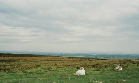 Panoramic by Richard Billingham