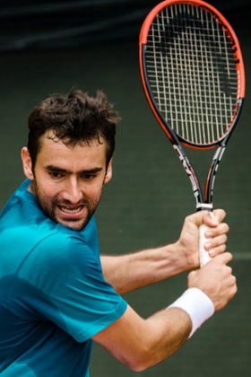 Cilic does not deny he was guilty of taking nikethamide, by mistake