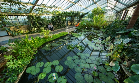 Cuts will mean world-class institutions that depend on public funding, such as Kew Gardens, could struggle to survive.