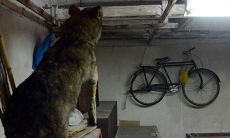 Agrimik by Maria Papadimitriou in the Greek pavilion.