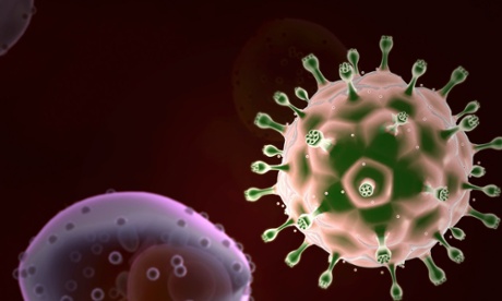 A scanning electron microscopic image of HIV. The potential vaccine binds to the virus and prevents it from invading cells