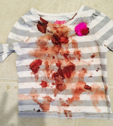 berks immigration detention center