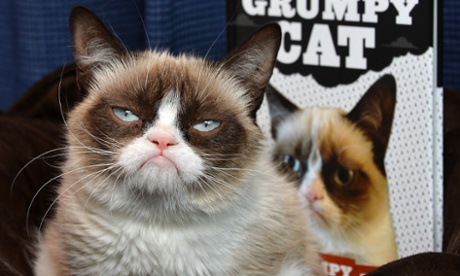 Grumpy Cat.