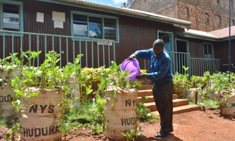 Sack farming in school 