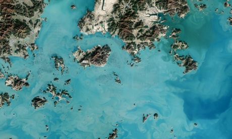 Seaweed Farms in South Korea