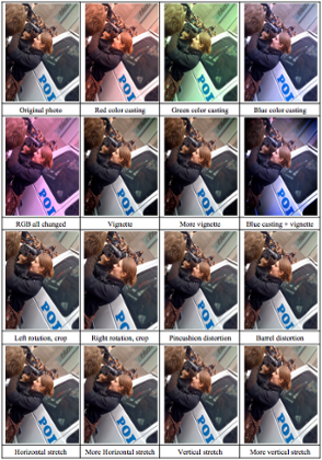 The ways in which Minwa skews images to learn their characteristics.