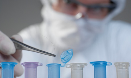 Scientist holding hair for DNA sample.