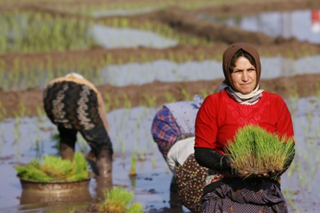 Many bioactive effects stem from radioactive materials in the air, water and food.