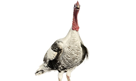 The left thinks it knows what is best 