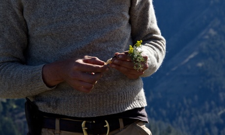 Thriving in Hells Canyon