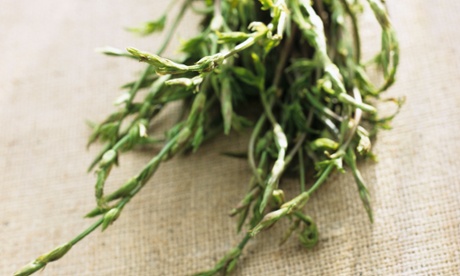 Hop shoots … how much would you pay?