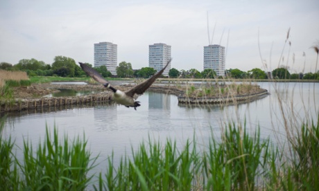 ‘It’s a man-made structure turned into a nature reserve in the centre of a massive urban conurbation’ ... Woodberry Wetlands. Photograph: Graeme Robertson for the Guardian