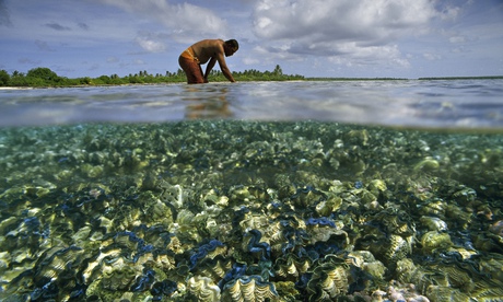 global warming shellfish warning
