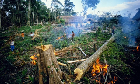 Rain forest destruction in Guatemala.