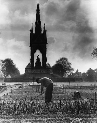 An allotment holder at work on his plot of ground by the Albert Hall Memorial, in Kensington Gardens IN 1942.
