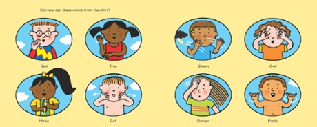 What the jackdaw saw