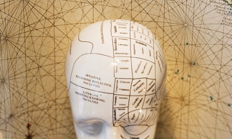 Close up of phrenology head diagram