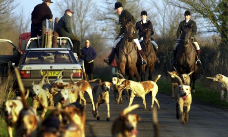Foxhunting