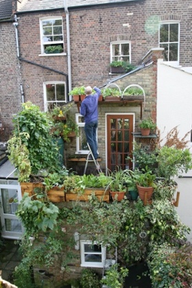 Mark Ridsdill Smith’s balcony in London.