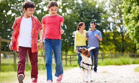 Children walking a dog