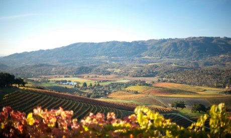 Kunde Family Winery, Sonoma