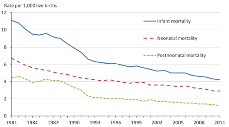 Infant mortality since 1981. 