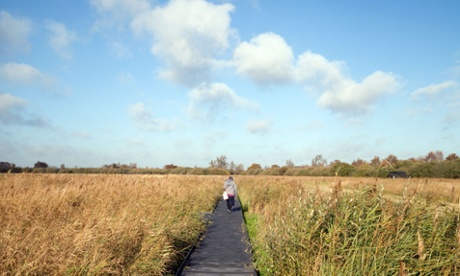 Wicken Fen Cambridgeshire