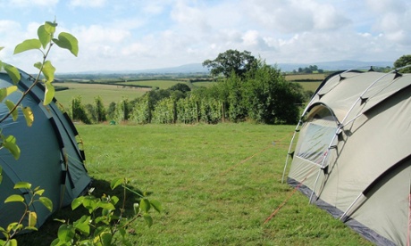 Ten Acres Vineyard Camping, Devon.