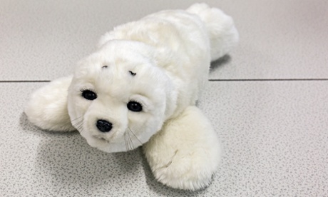 Paro the harp seal robot at Sheffield University.