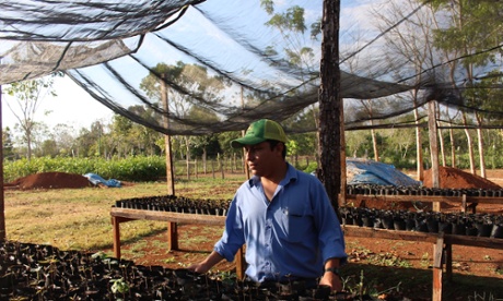 Local forestry technician Francisco Reyes explains mahogany regeneration in the Noh Bec greenhouse.