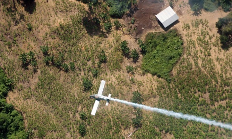 A coca crop being poisoned by a Colombian police plane in a 2008 file photo.