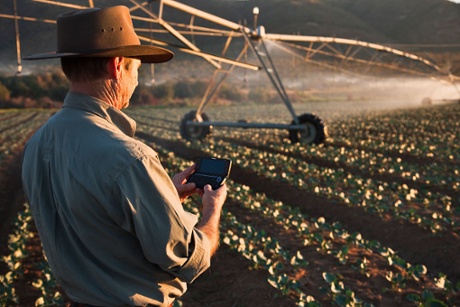 Field with pivot irrigation, South Africa.