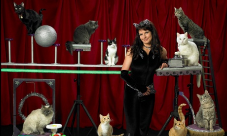 Samantha Martin and the Amazing Acro-Cats