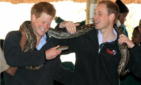 Princes Harry and William with an African rock python in Gaborone, Botswana, 2010.