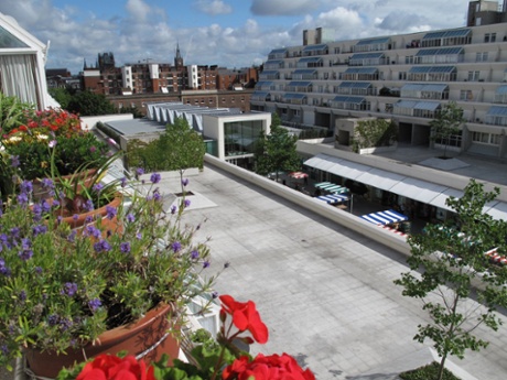 Brunswick Centre in Bloomsbury