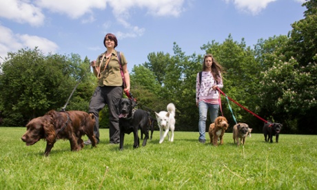 Dog walkers on Peckham Rye, south London this week.
