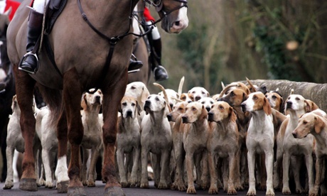 Foxhunting ban Scotland