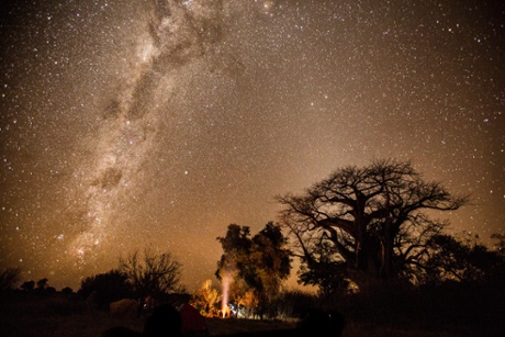 Camping beneath a baobab tree in the Okavango Delta. 