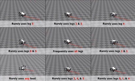 A robot learns to adapt its behaviour to deal with injured parts.