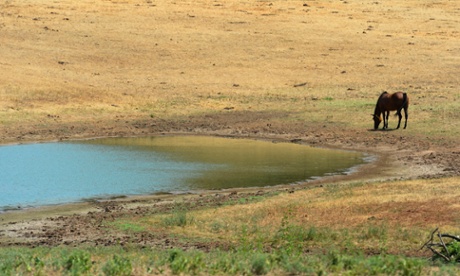 A horse stands next to a pond near Oklahoma City, Oklahoma.
