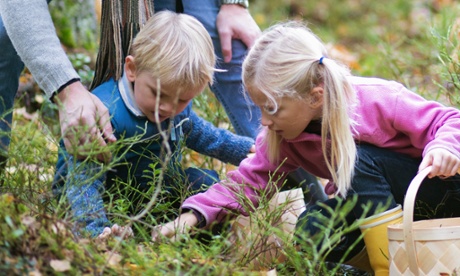 A family forages in the forest