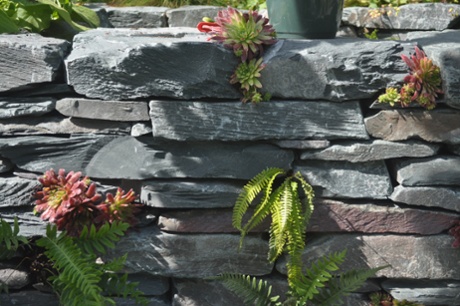 Sean Murray's RHS Chelsea garden.